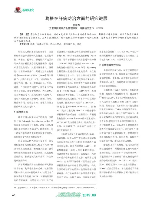 葛根在肝病防治方面的研究进展