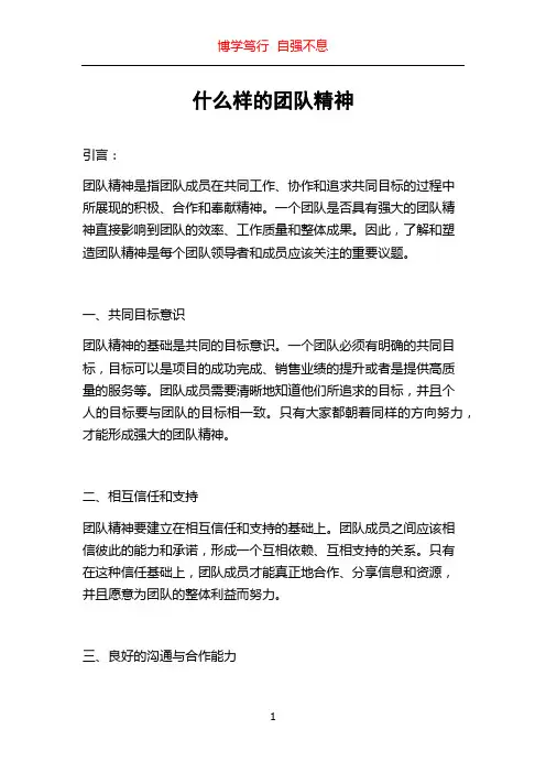 什么样的团队精神