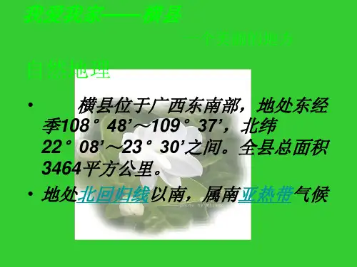 南宁横县简介PPT