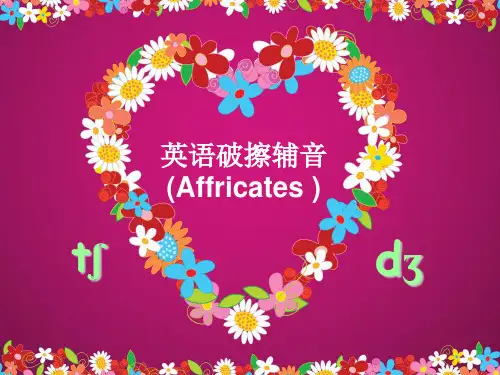 第九课 英语破擦辅音和舌侧音修改版