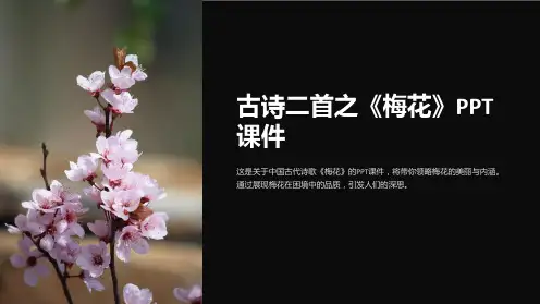 古诗二首之《梅花》课件