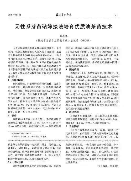 无性系芽苗砧嫁接法培育优质油茶苗技术