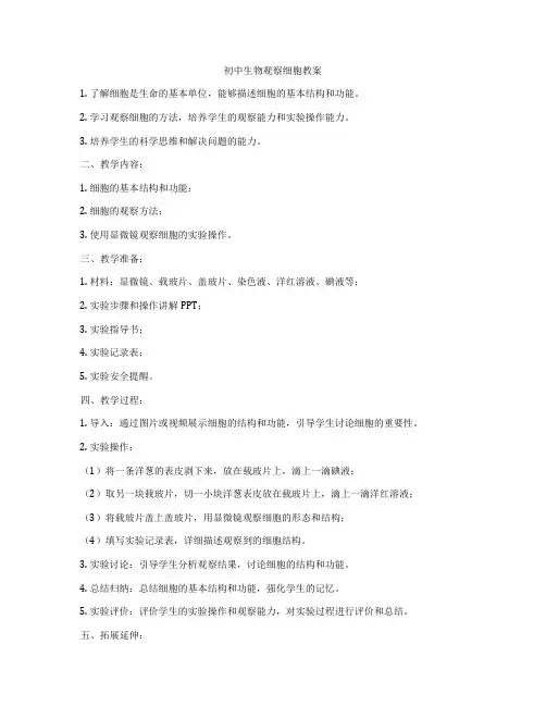 初中生物观察细胞教案