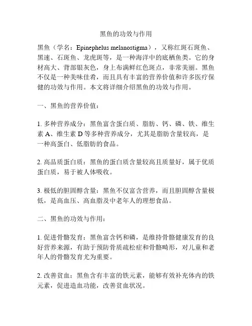 黑鱼的功效与作用