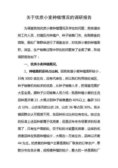 关于优质小麦种植情况的调研报告