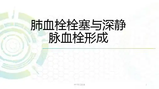肺栓塞和深静脉血栓ppt课件