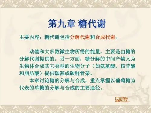 生物化学第九章糖代谢