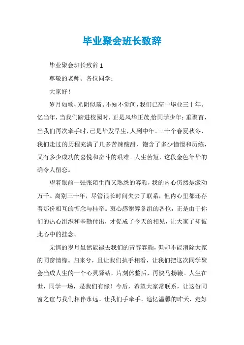 毕业聚会班长致辞