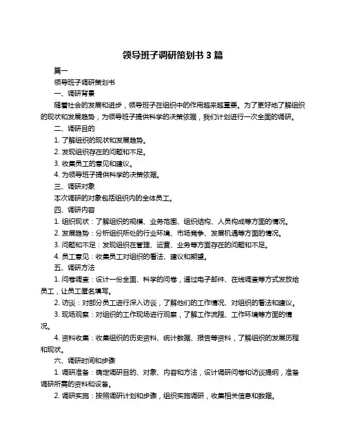 领导班子调研策划书3篇