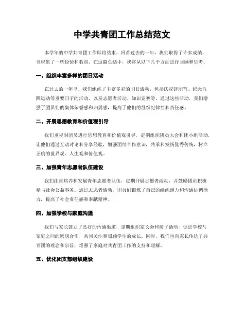 中学共青团工作总结范文