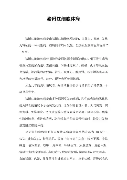 猪附红细胞体病