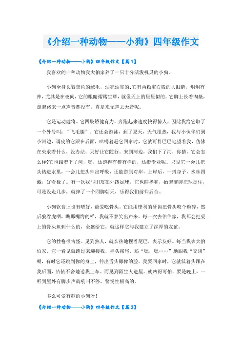 《介绍一种动物——小狗》四年级作文