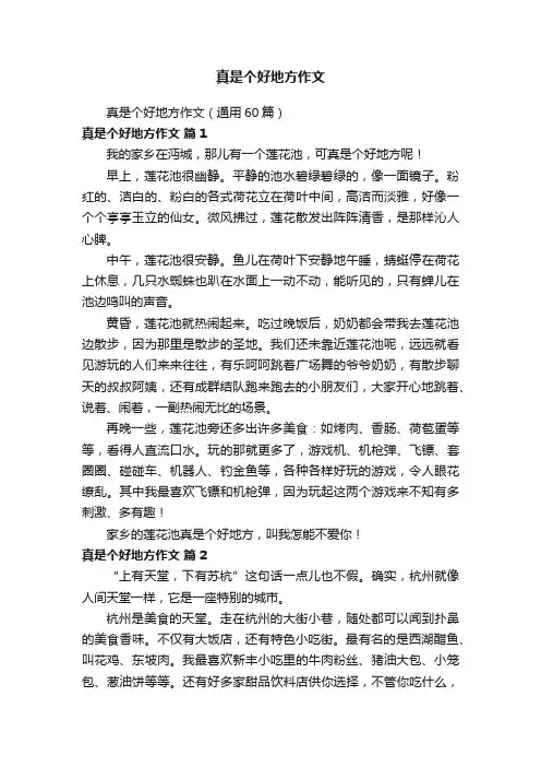 真是个好地方作文