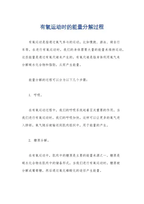 有氧运动时的能量分解过程
