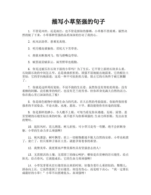描写小草坚强的句子