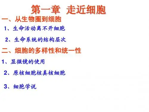 高一生物必修一第一节ppt