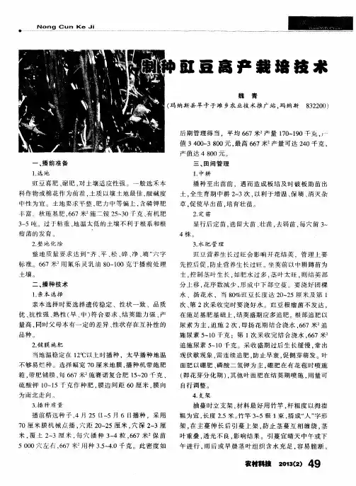 制种豇豆高产栽培技术