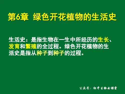 第六章 绿色开花植物的生活史  种子的结构