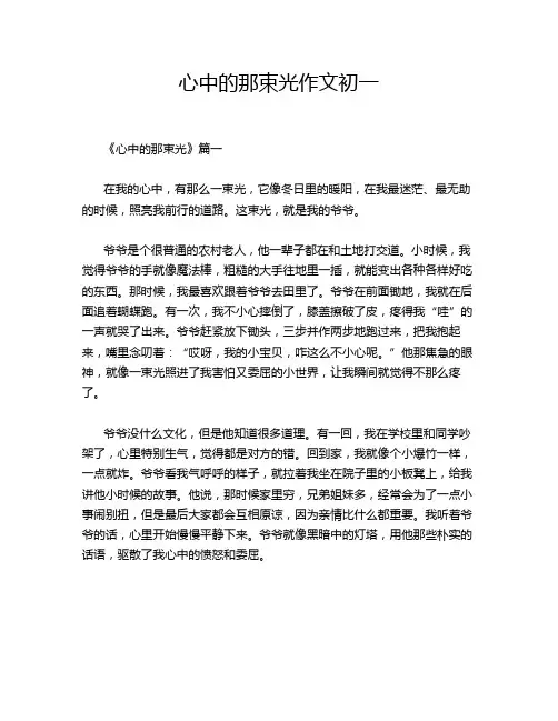 心中的那束光作文初一