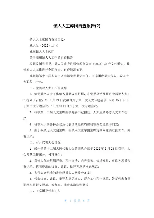 镇人大主席团自查报告(2)