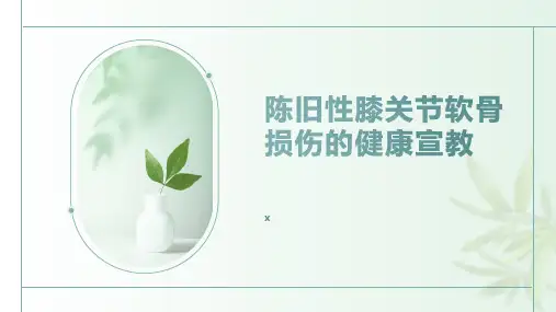 陈旧性膝关节软骨损伤的健康宣教