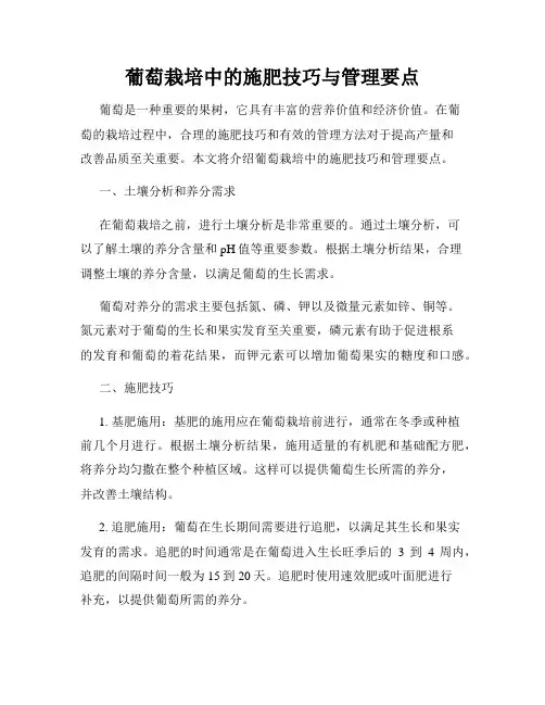葡萄栽培中的施肥技巧与管理要点