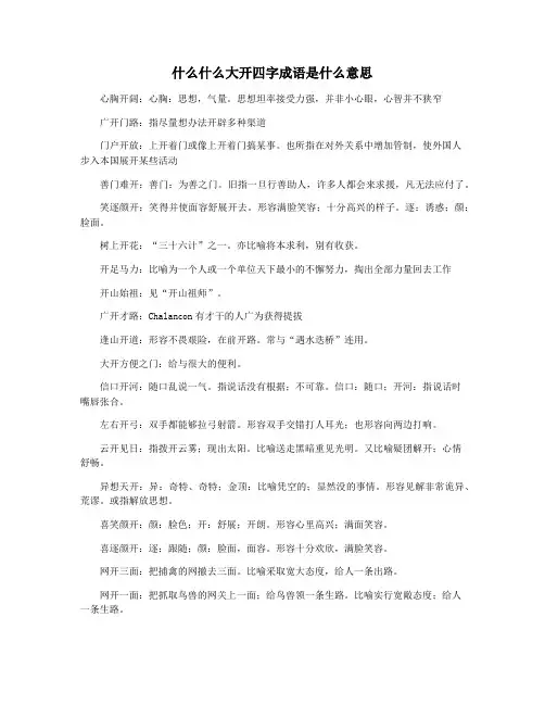 什么什么大开四字成语是什么意思