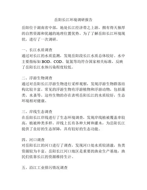 岳阳长江环境调研报告