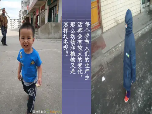 动植物是怎样过冬的PPT课件