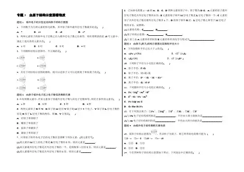 【-假期作业】2022年暑期高一化学人教版专题精选：专题3 由原子结构示意图看物质 