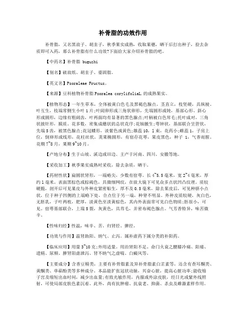 补骨脂的功效作用