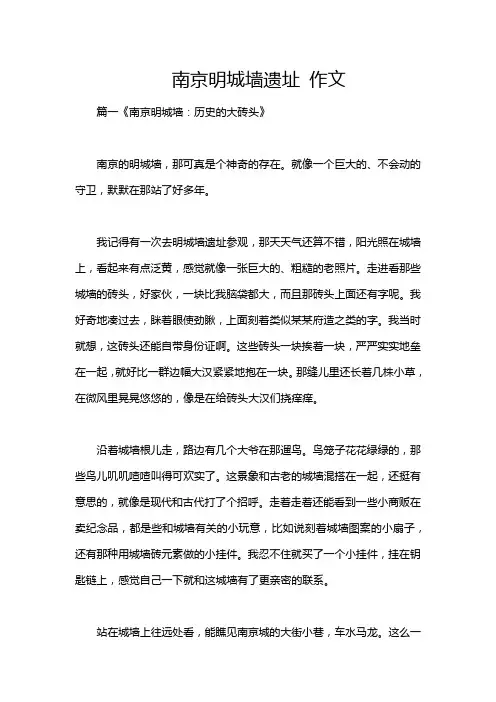 南京明城墙遗址 作文