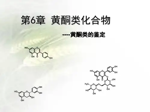 第六章黄酮类化合物--鉴定