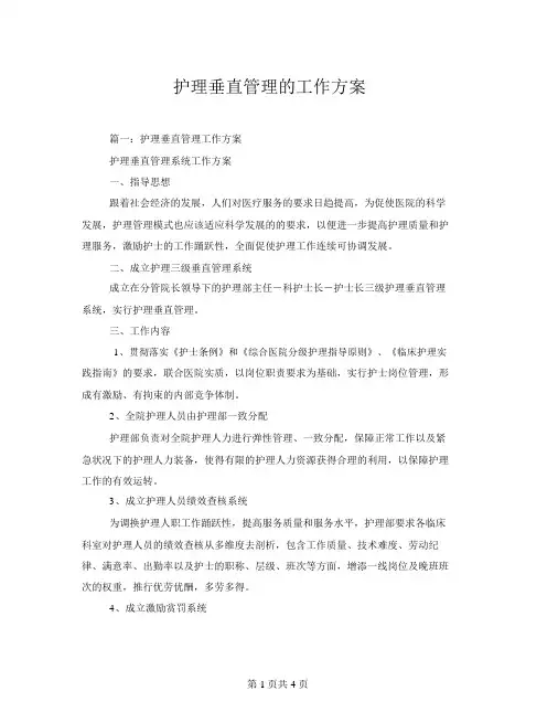 护理垂直管理的工作方案