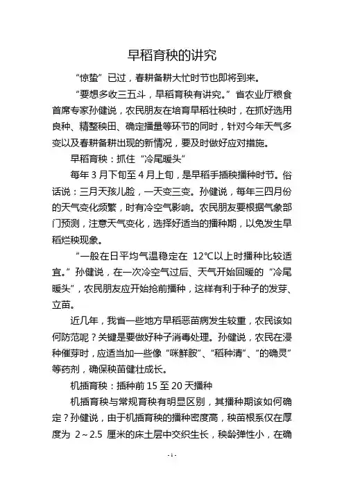 早稻育秧的讲究
