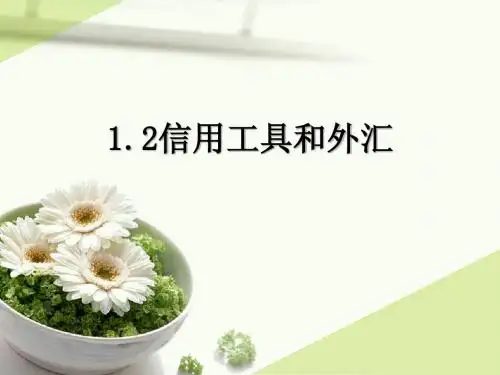 1.2信用工具和外汇