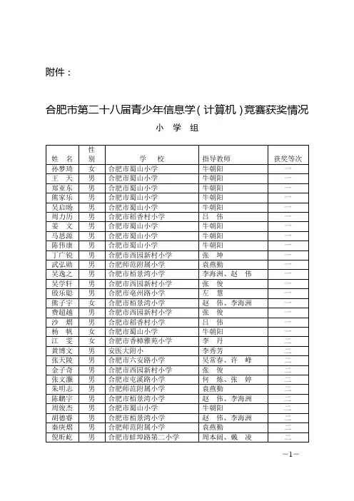 “讯飞”杯合肥市第二十八届青少年信息学
