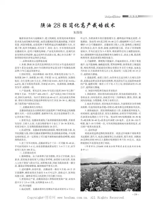 陕油28轻简化高产栽培技术
