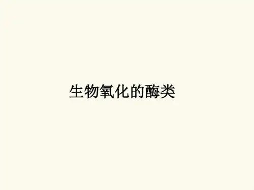 生物氧化的酶类ppt课件