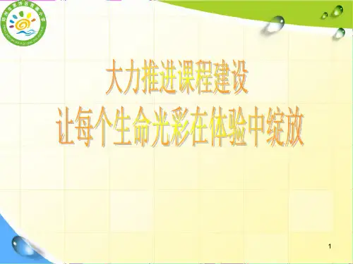 课程建设汇报ppt课件