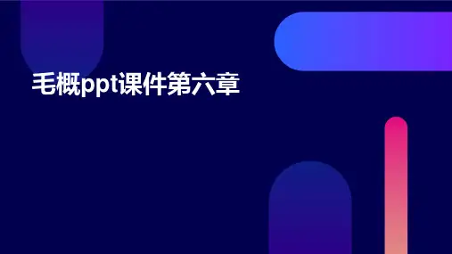 毛概ppt课件第六章