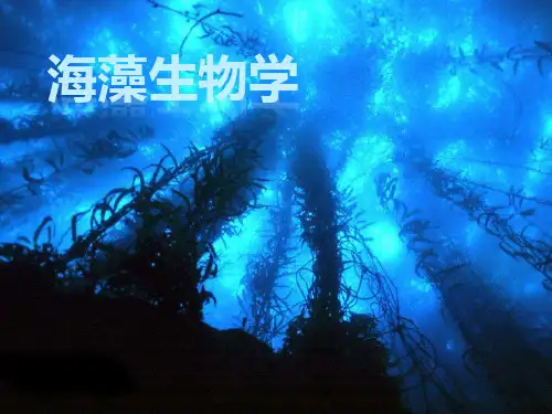 海藻生物学