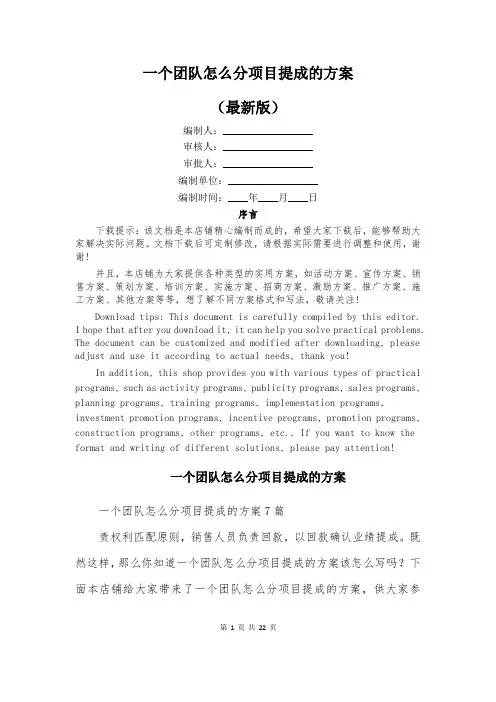 一个团队怎么分项目提成的方案