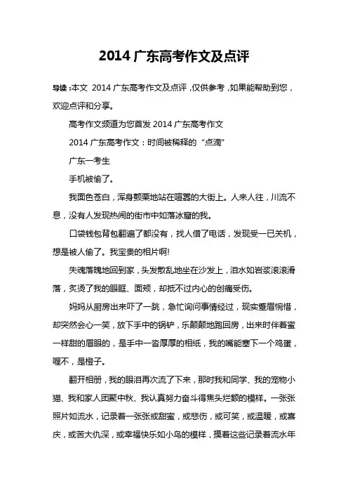 2014广东高考作文及点评