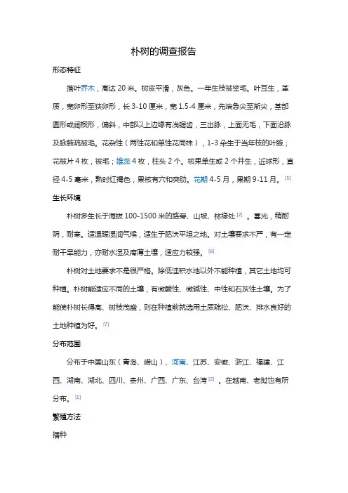 小学五年级朴树的调查报告