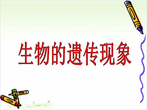 六年级下册科学-生物的遗传现象优秀课件苏教版