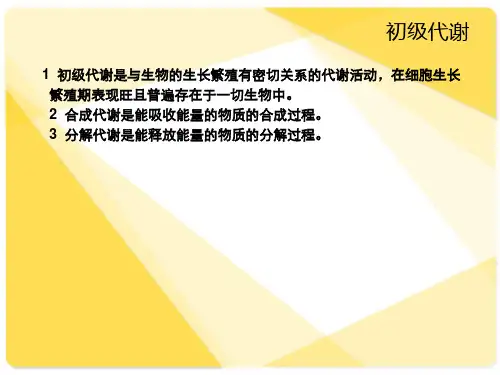微生物的基本代谢