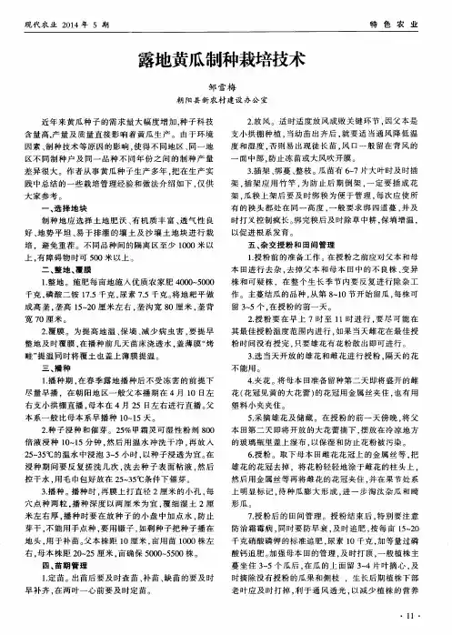 露地黄瓜制种栽培技术