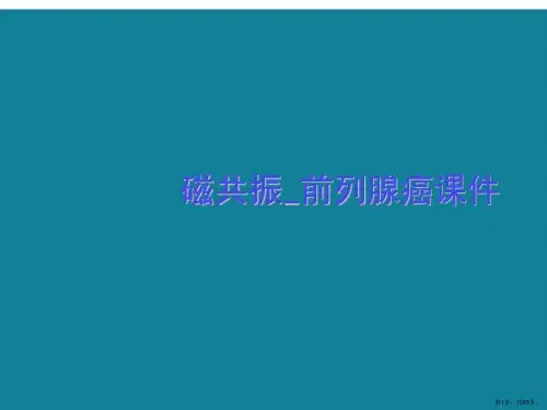 演示文稿磁共振_前列腺癌课件