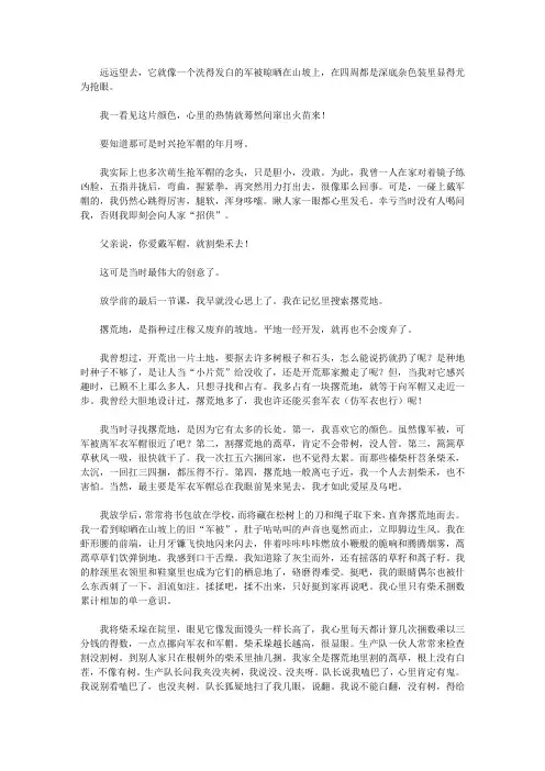 (启迪青少年成长的故事)启迪青少年学习做人智慧的故事_撂 荒 地